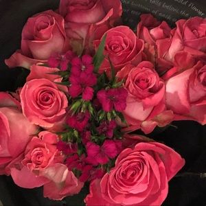 Meet your Posher, Marisol